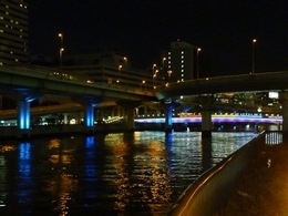ライトアップ橋.jpg
